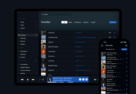 Crossplatform media streaming app