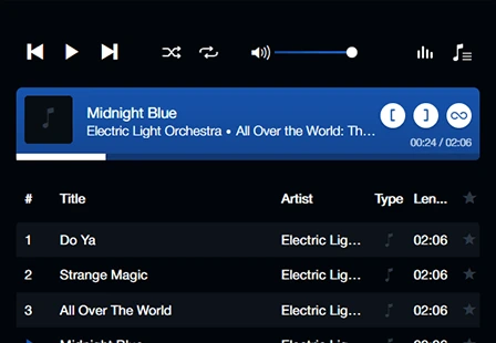 Desktop music player